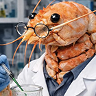 Internet muerto y la IA del futuro: de la conspiración a la Imagen del artículo de Irma Marco Internet muerto y la IA del futuro: de la conspiración a la